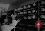 Image of Cutter laboratory Berkeley California USA, 1955, second 16 stock footage video 65675067767