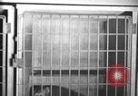 Image of Canadian Parliament buildings in snow Ottawa Canada, 1956, second 29 stock footage video 65675067769