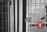 Image of Canadian Parliament buildings in snow Ottawa Canada, 1956, second 40 stock footage video 65675067769