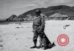 Image chiens de guerre United States USA, 1944, de la seconde 27 séquences d'archives historiques vidéo 65675067776