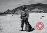 Image chiens de guerre United States USA, 1944, de la seconde 28 séquences d'archives historiques vidéo 65675067776