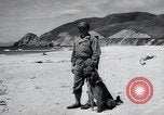 Image chiens de guerre United States USA, 1944, de la seconde 31 séquences d'archives historiques vidéo 65675067776
