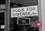 Image chiens de guerre United States USA, 1944, de la seconde 32 séquences d'archives historiques vidéo 65675067776