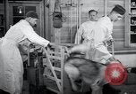 Image chiens de guerre United States USA, 1944, de la seconde 38 séquences d'archives historiques vidéo 65675067776