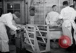 Image chiens de guerre United States USA, 1944, de la seconde 41 séquences d'archives historiques vidéo 65675067776