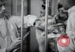 Image chiens de guerre United States USA, 1944, de la seconde 47 séquences d'archives historiques vidéo 65675067776