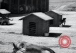 Image chiens de guerre United States USA, 1944, de la seconde 49 séquences d'archives historiques vidéo 65675067776
