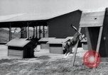 Image chiens de guerre United States USA, 1944, de la seconde 54 séquences d'archives historiques vidéo 65675067776
