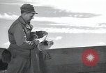 Image chiens de guerre United States USA, 1944, de la seconde 58 séquences d'archives historiques vidéo 65675067776