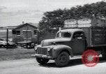 Standbild Krieg Hunde United States USA, 1944, aus Sekunde 3 historischem Filmmaterial Videoclip 65675067777