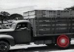 Standbild Krieg Hunde United States USA, 1944, aus Sekunde 4 historischem Filmmaterial Videoclip 65675067777