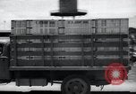 Standbild Krieg Hunde United States USA, 1944, aus Sekunde 5 historischem Filmmaterial Videoclip 65675067777