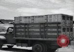 Standbild Krieg Hunde United States USA, 1944, aus Sekunde 6 historischem Filmmaterial Videoclip 65675067777