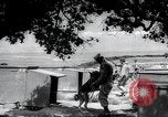 Standbild Krieg Hunde United States USA, 1944, aus Sekunde 11 historischem Filmmaterial Videoclip 65675067777