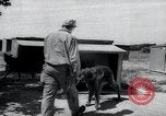 Standbild Krieg Hunde United States USA, 1944, aus Sekunde 15 historischem Filmmaterial Videoclip 65675067777