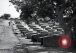 Standbild Krieg Hunde United States USA, 1944, aus Sekunde 17 historischem Filmmaterial Videoclip 65675067777