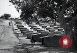 Standbild Krieg Hunde United States USA, 1944, aus Sekunde 18 historischem Filmmaterial Videoclip 65675067777