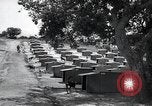 Standbild Krieg Hunde United States USA, 1944, aus Sekunde 19 historischem Filmmaterial Videoclip 65675067777
