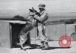 Standbild Krieg Hunde United States USA, 1944, aus Sekunde 27 historischem Filmmaterial Videoclip 65675067777