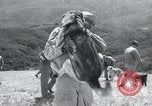 Standbild Krieg Hunde United States USA, 1944, aus Sekunde 40 historischem Filmmaterial Videoclip 65675067777