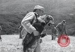 Standbild Krieg Hunde United States USA, 1944, aus Sekunde 41 historischem Filmmaterial Videoclip 65675067777