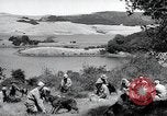 Standbild Krieg Hunde United States USA, 1944, aus Sekunde 42 historischem Filmmaterial Videoclip 65675067777