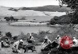 Standbild Krieg Hunde United States USA, 1944, aus Sekunde 43 historischem Filmmaterial Videoclip 65675067777