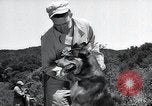 Standbild Krieg Hunde United States USA, 1944, aus Sekunde 45 historischem Filmmaterial Videoclip 65675067777