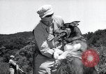 Standbild Krieg Hunde United States USA, 1944, aus Sekunde 46 historischem Filmmaterial Videoclip 65675067777