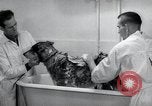 Standbild Krieg Hunde United States USA, 1944, aus Sekunde 50 historischem Filmmaterial Videoclip 65675067777