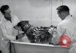 Standbild Krieg Hunde United States USA, 1944, aus Sekunde 51 historischem Filmmaterial Videoclip 65675067777