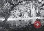 Standbild Krieg Hunde United States USA, 1944, aus Sekunde 60 historischem Filmmaterial Videoclip 65675067777