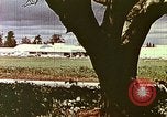 Standbild Stanford Einkaufszentrum United States USA, 1958, aus Sekunde 7 historischem Filmmaterial Videoclip 65675067783