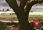 Standbild Stanford Einkaufszentrum United States USA, 1958, aus Sekunde 9 historischem Filmmaterial Videoclip 65675067783
