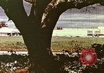 Standbild Stanford Einkaufszentrum United States USA, 1958, aus Sekunde 11 historischem Filmmaterial Videoclip 65675067783