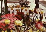 Standbild Stanford Einkaufszentrum United States USA, 1958, aus Sekunde 52 historischem Filmmaterial Videoclip 65675067783
