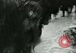 Image of Meuse-Argonne Offensive World War 1 France, 1918, second 41 stock footage video 65675067792