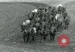 Image of farm plowed United States USA, 1916, second 3 stock footage video 65675067804