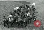 Image of farm plowed United States USA, 1916, second 5 stock footage video 65675067804