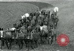 Image of farm plowed United States USA, 1916, second 6 stock footage video 65675067804