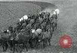 Image of farm plowed United States USA, 1916, second 7 stock footage video 65675067804