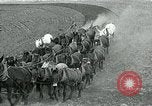Image of farm plowed United States USA, 1916, second 8 stock footage video 65675067804