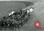 Image of farm plowed United States USA, 1916, second 9 stock footage video 65675067804