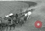 Image of farm plowed United States USA, 1916, second 11 stock footage video 65675067804