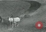 Image of farm plowed United States USA, 1916, second 16 stock footage video 65675067804