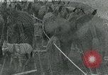 Image of farm plowed United States USA, 1916, second 17 stock footage video 65675067804