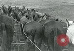 Image of farm plowed United States USA, 1916, second 18 stock footage video 65675067804