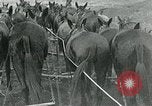 Image of farm plowed United States USA, 1916, second 19 stock footage video 65675067804