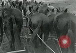 Image of farm plowed United States USA, 1916, second 20 stock footage video 65675067804