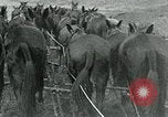 Image of farm plowed United States USA, 1916, second 21 stock footage video 65675067804